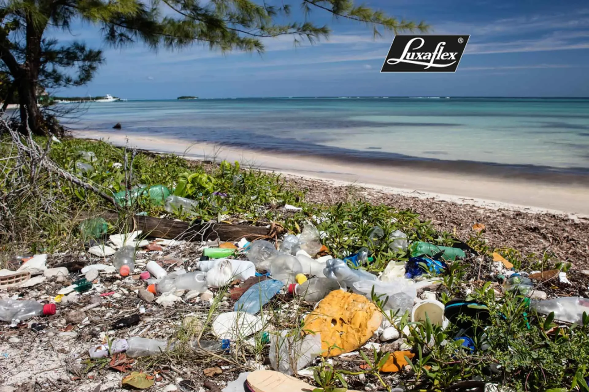 Luxaflex_Greenscreen1 Luxaflex_Greenscreen1