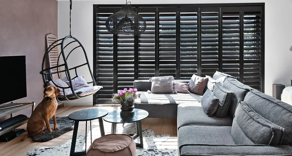 Esthetische aantrekkingskracht